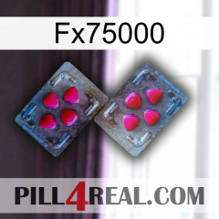 Fx75000 15